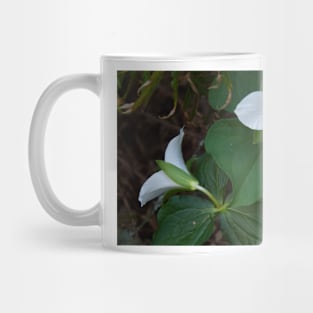 850_5490 Mug